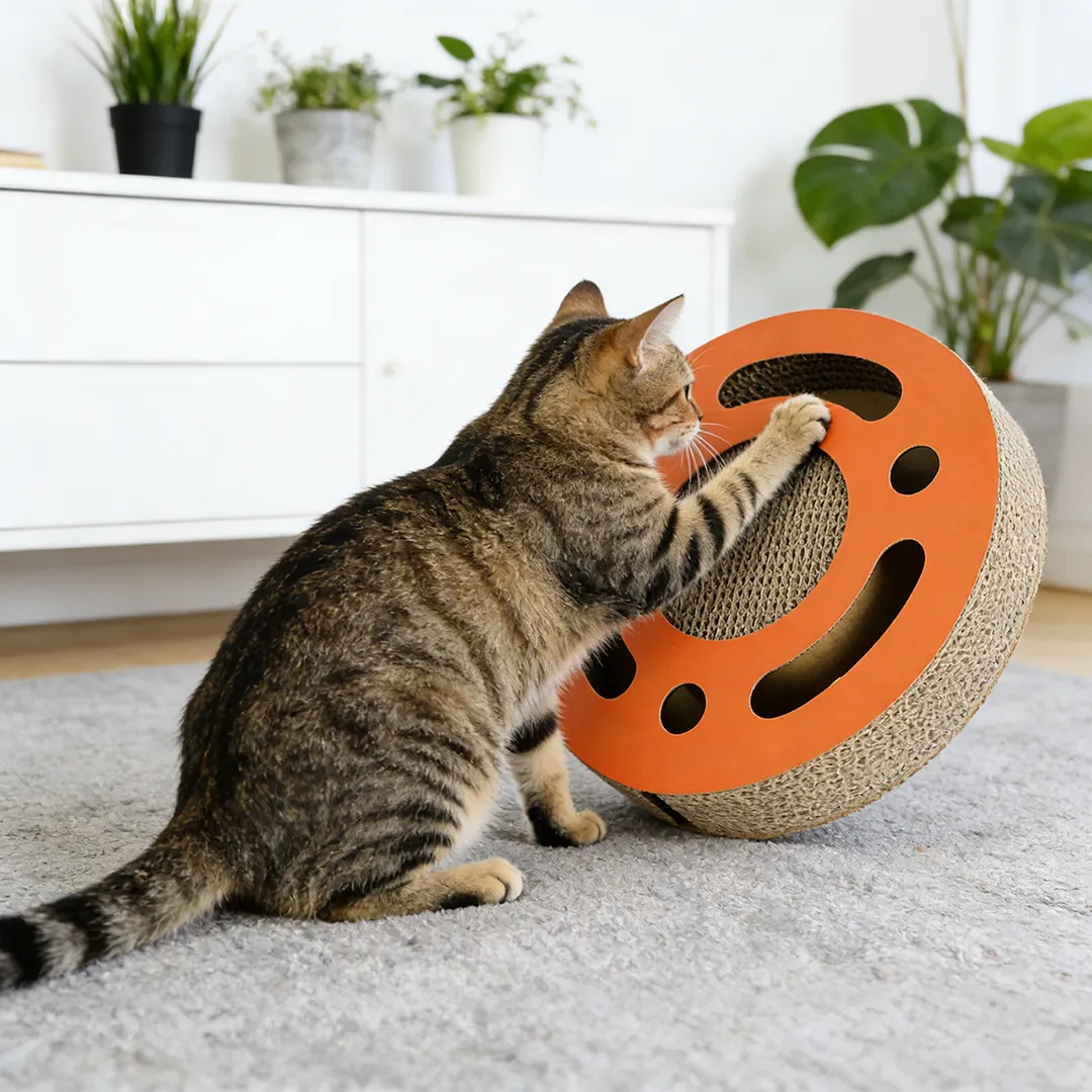 Best-Selling Cat Toy: Orange Ring Openwork Cat Scratcher WT-0009