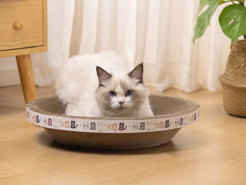 Detailed corrugated cardboard structure used in wholesale cat scratcher production