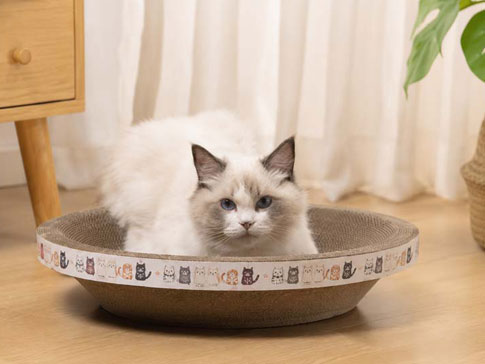 What Is the MOQ for Custom Cat Scratchers?